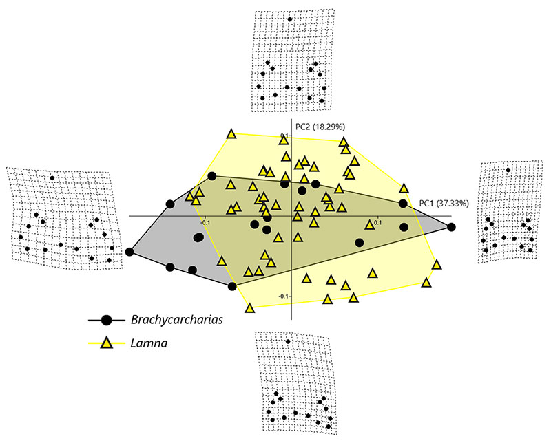 figure3