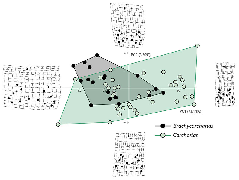 figure4