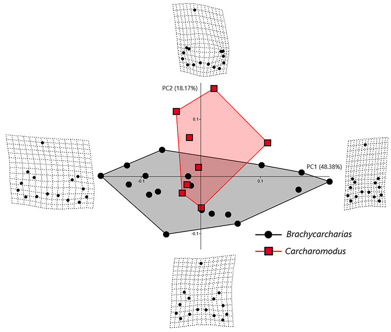 figure5