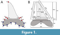 s figure1