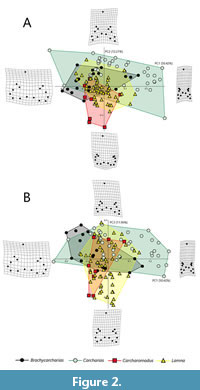 s figure2