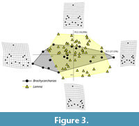 s figure3