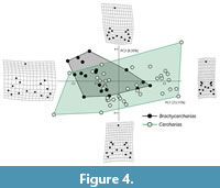 s figure4