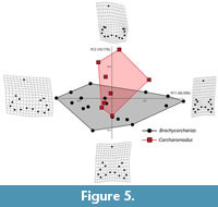 s figure5