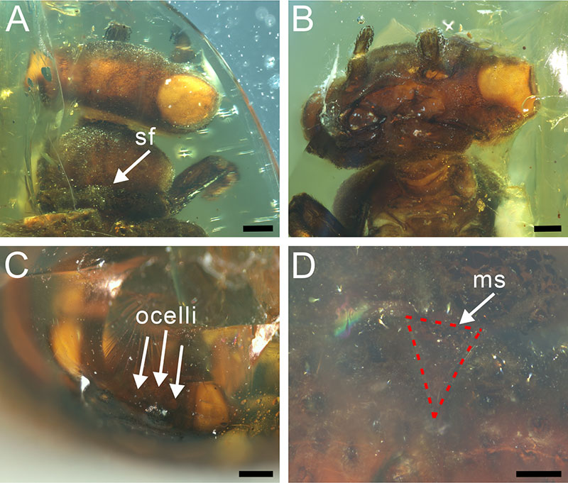 figure2