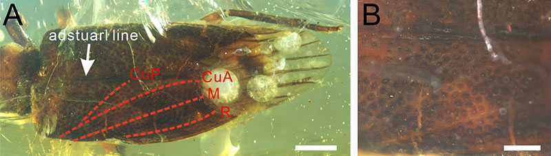 figure3