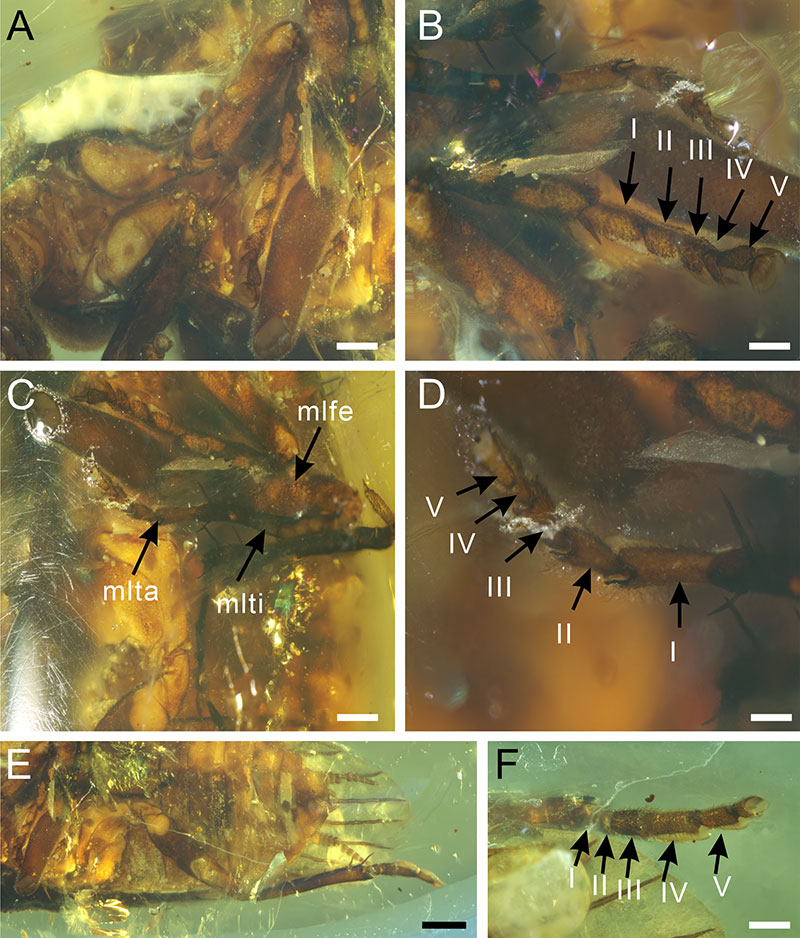 figure4