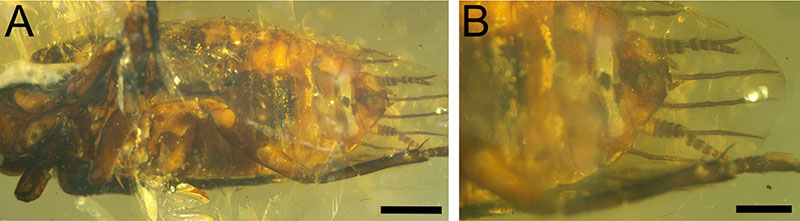 figure5