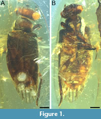 s figure1