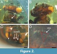 s figure2