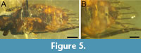s figure5