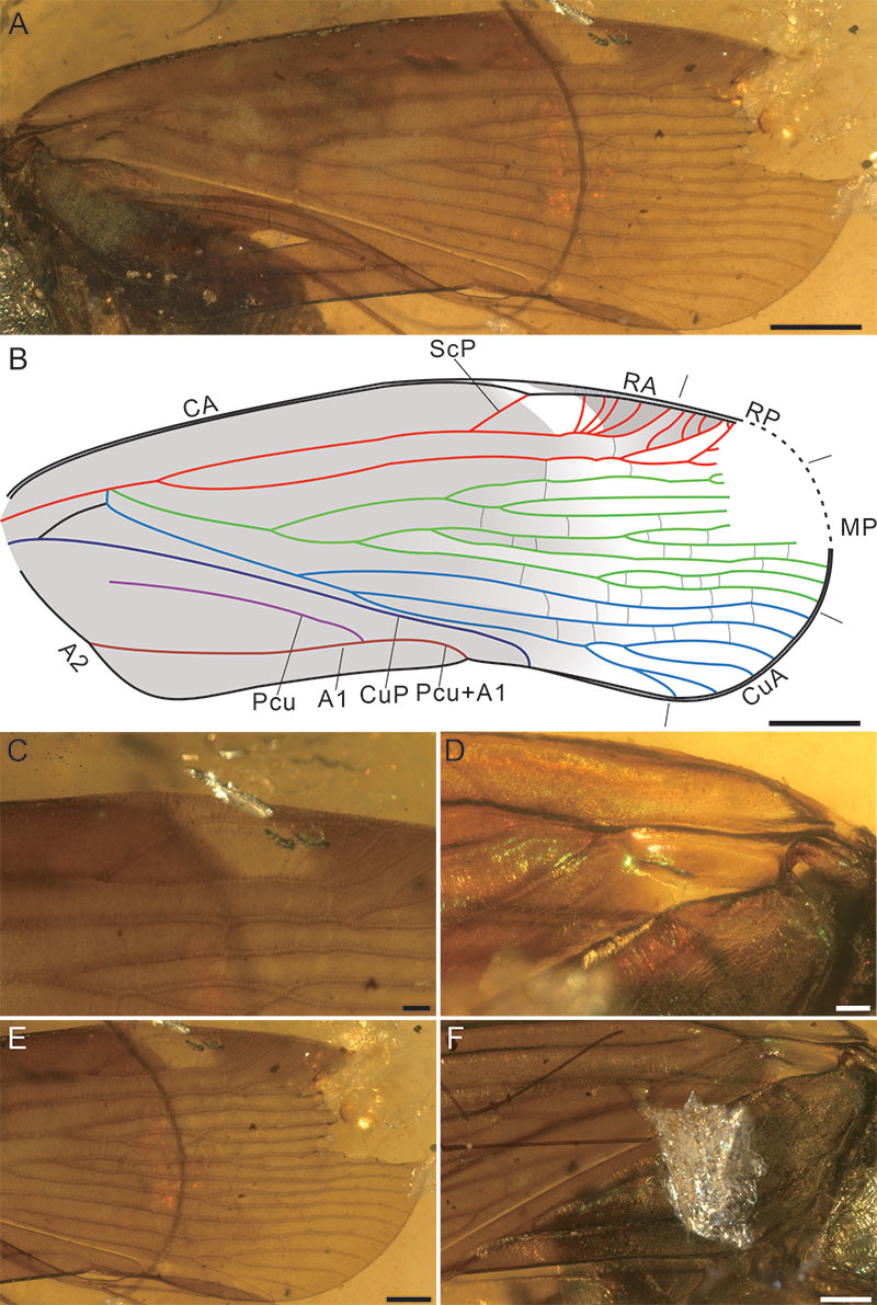 figure3