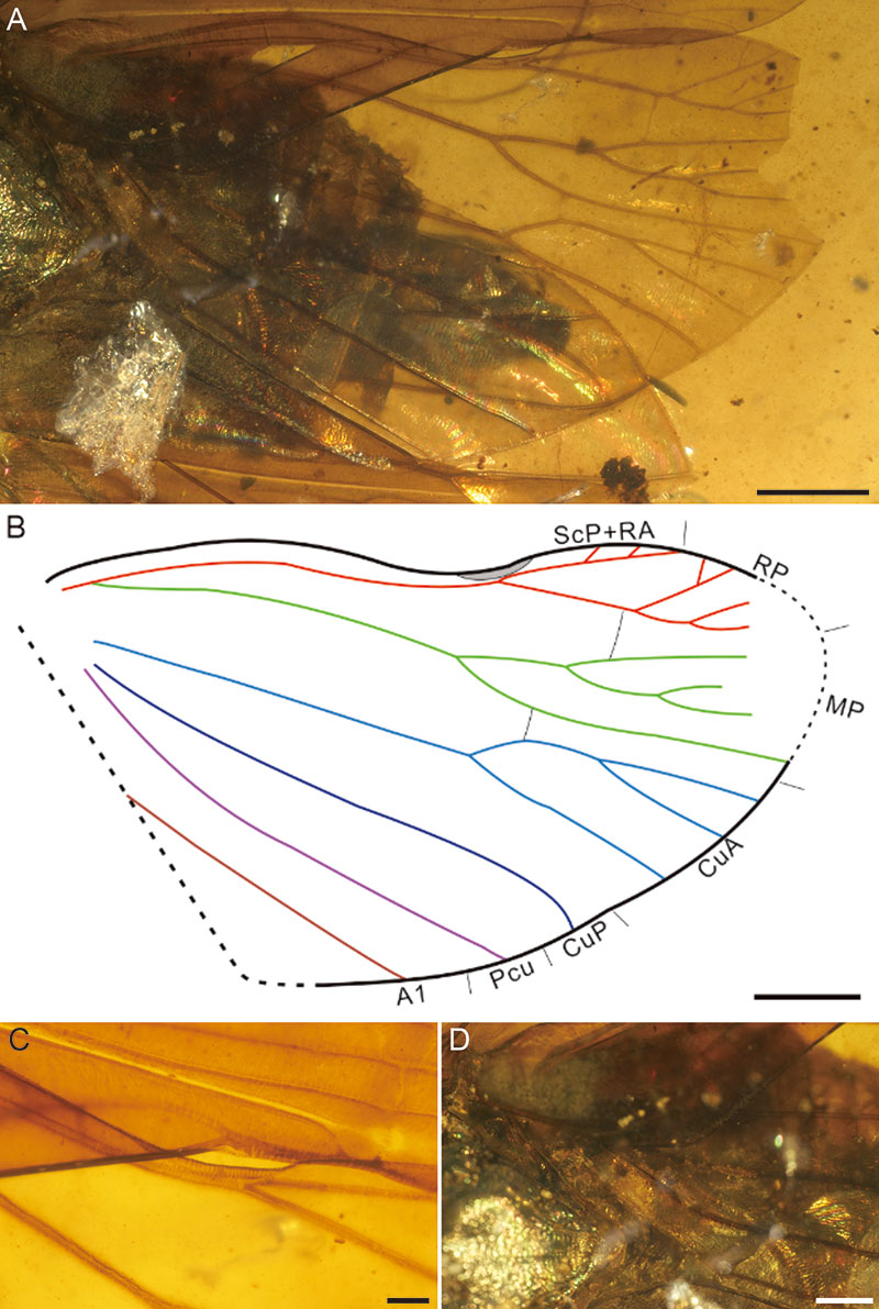 figure4