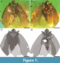 s figure1