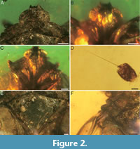 s figure2