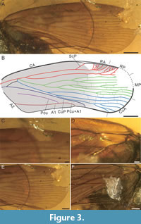 s figure3