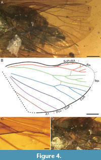 s figure4