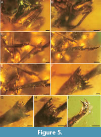 s figure5
