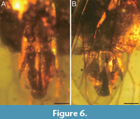 s figure6