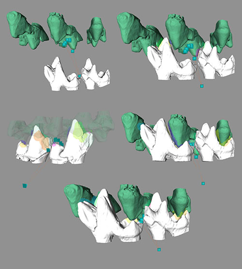 appendix 2