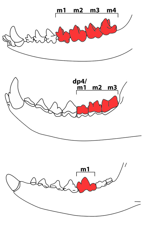 figure1