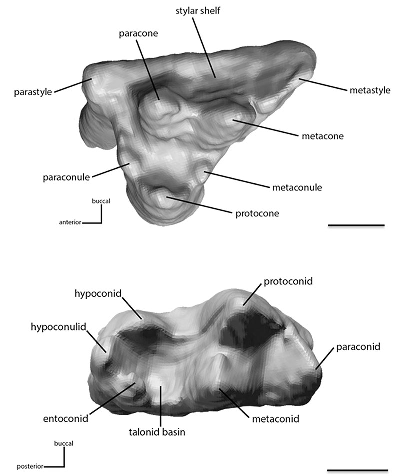 figure2