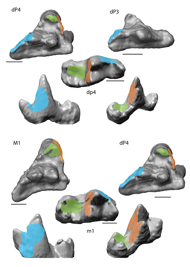 figure5