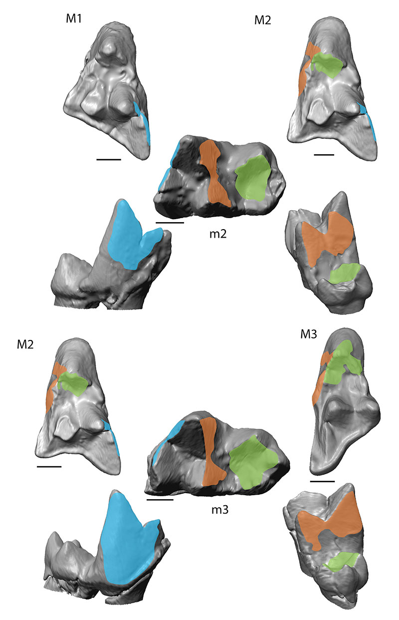 figure6