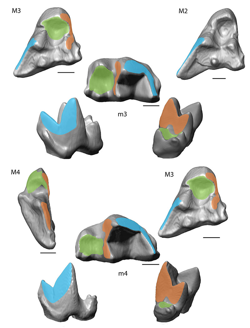 figure7