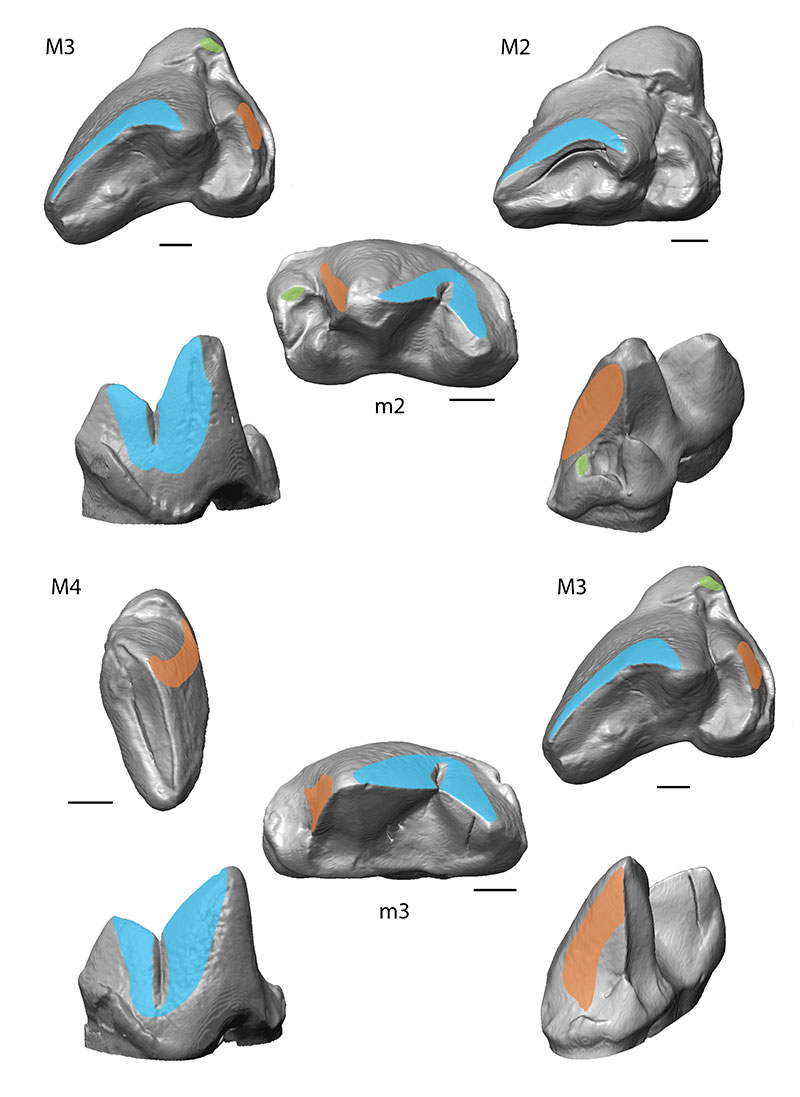 figure8
