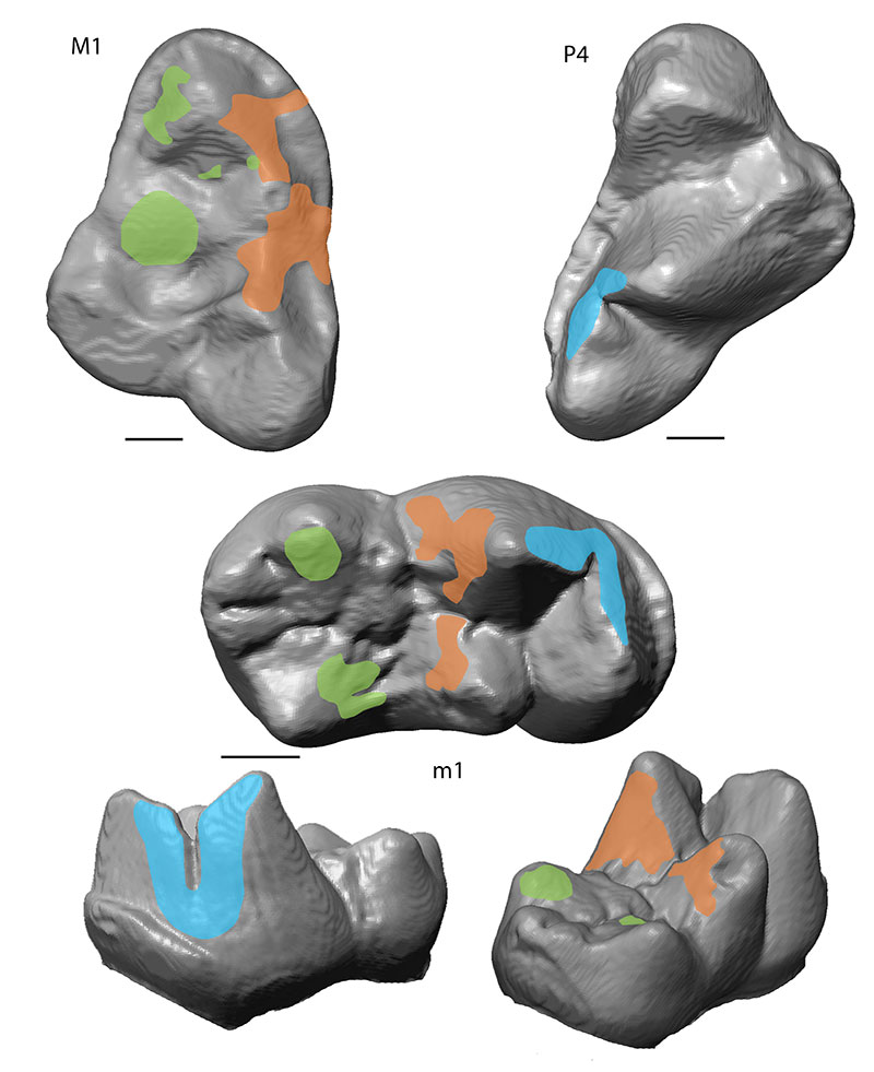 figure9