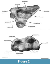 s figure2