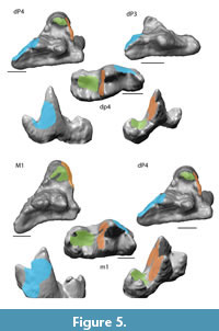 s figure5