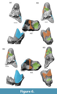 s figure6