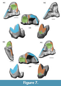 s figure7