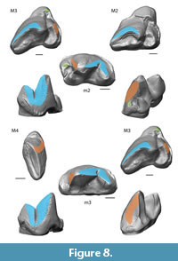 s figure8
