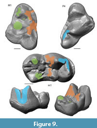 s figure9