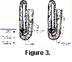 fig3a