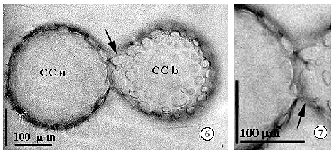 fig6 7