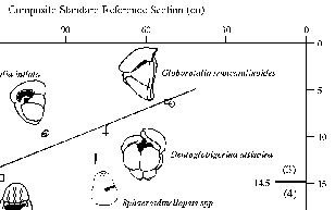 fig 5a