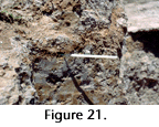 fig21a
