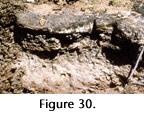 fig30a