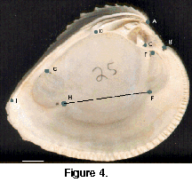 fig04a