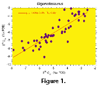 sfig1a