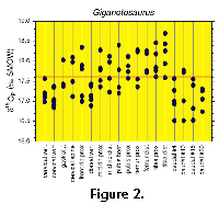 sfig2 a