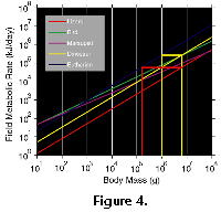 sfig4 a