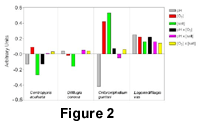 fig2 s