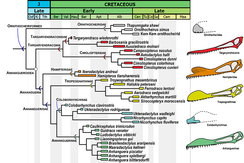 figure2