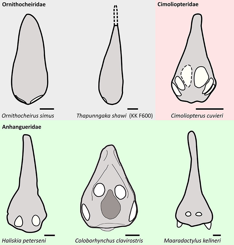 figure3