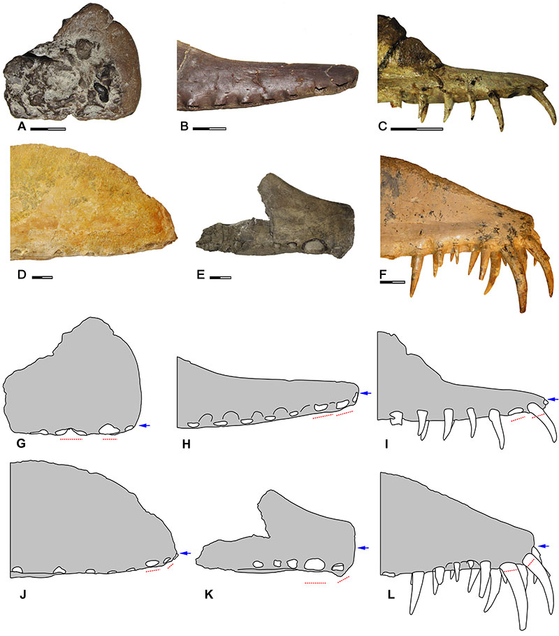 figure4